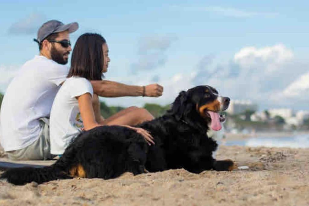 فيلا Casa Frente Al Mar En Miami Playa 2Hab المظهر الخارجي الصورة